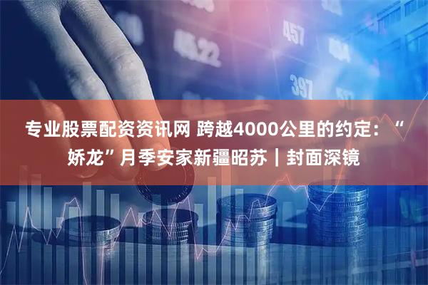 专业股票配资资讯网 跨越4000公里的约定：“娇龙”月季安家新疆昭苏｜封面深镜