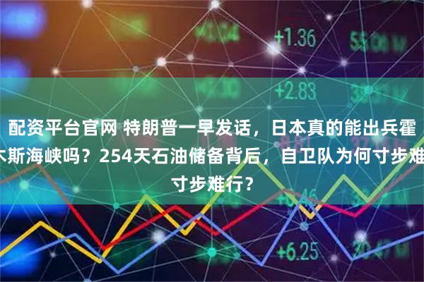 配资平台官网 特朗普一早发话，日本真的能出兵霍尔木斯海峡吗？254天石油储备背后，自卫队为何寸步难行？